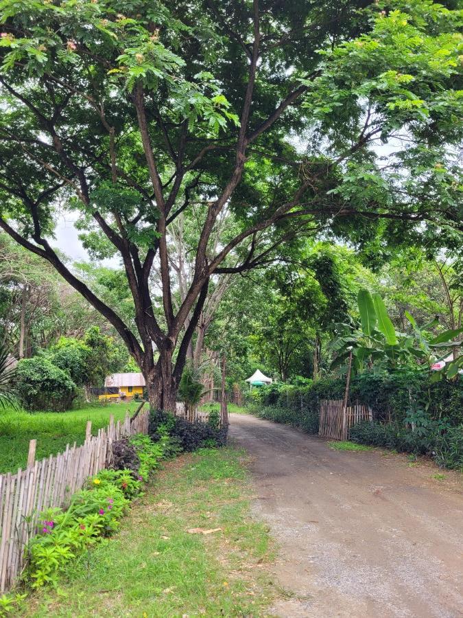 Ban Khanong Phra Klang Brookhouse At Khaoyaiヴィラ エクステリア 写真