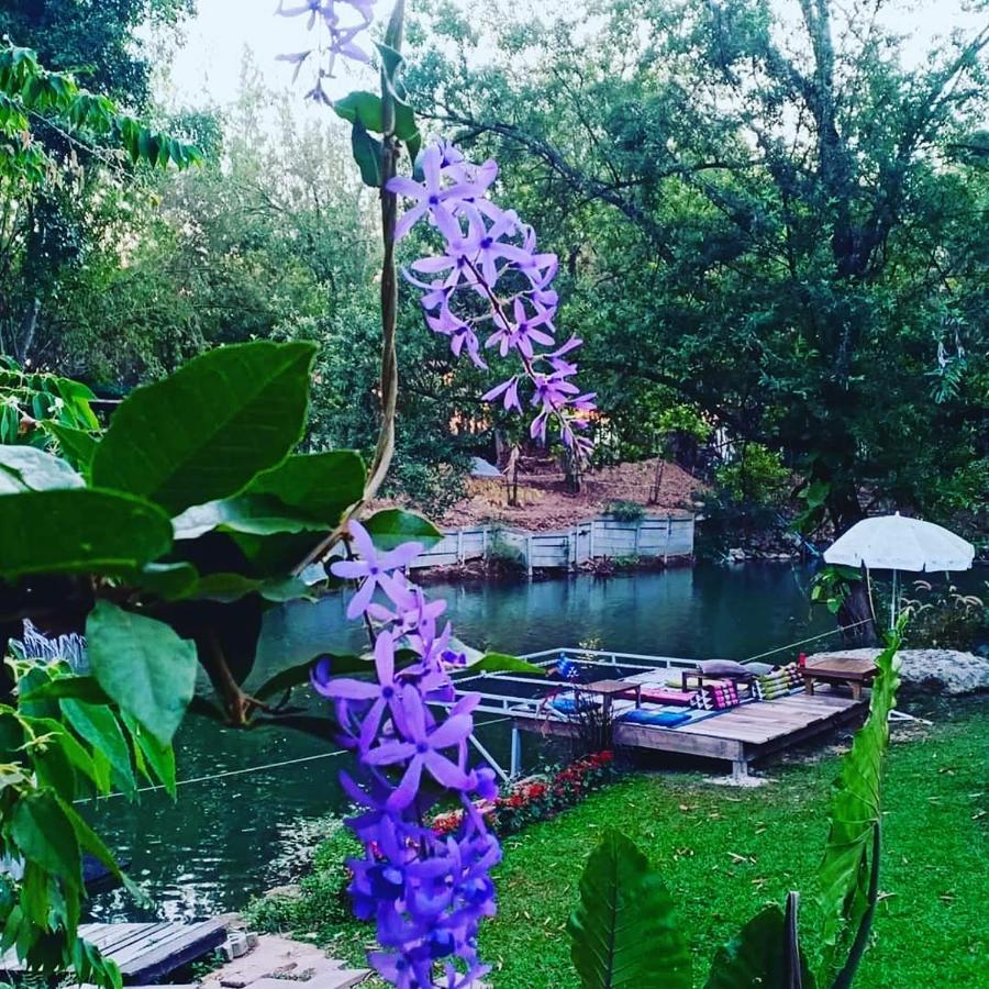 Ban Khanong Phra Klang Brookhouse At Khaoyaiヴィラ エクステリア 写真